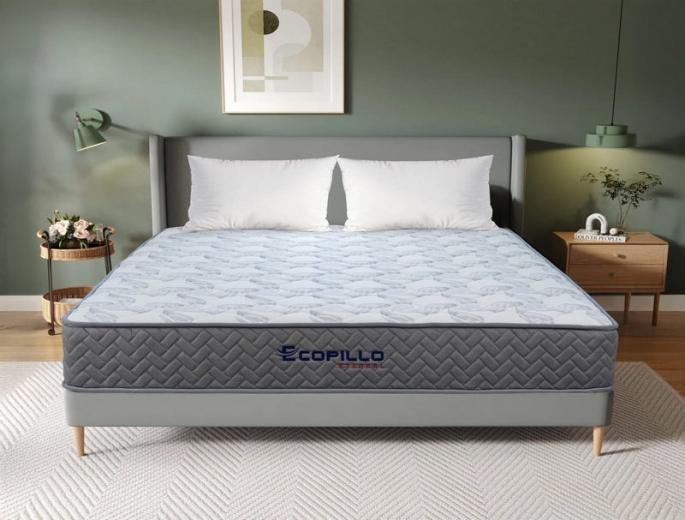 Review nệm lò xo túi độc lập: Top 5 dòng nệm êm ái, bảo vệ cột sống tốt nhất