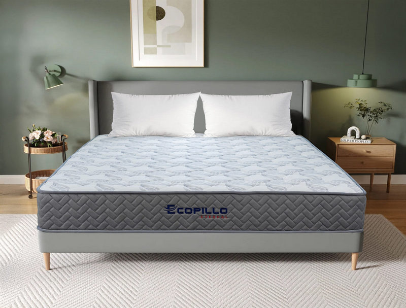 Đệm l&ograve; xo t&uacute;i độc lập Ecopillo