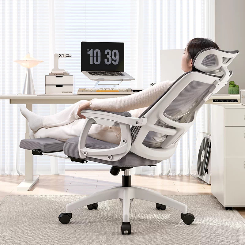 Ghế c&ocirc;ng th&aacute;i học l&agrave; g&igrave;